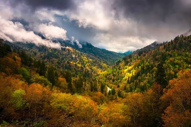 Great Smoky Mountains NP Driving Tour Smartphone Autoplay App/Gps - Discovering Sugarlands and Maple Syrup Production
