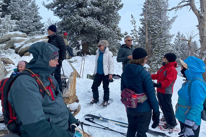 Guided Snowshoe Experience in Lake Tahoe - Participant Requirements and Recommendations