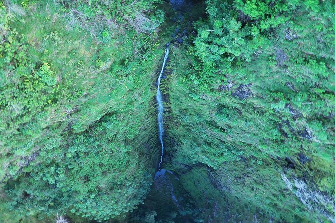Hawaii Oahu Canyon Rappel & Hike Expedition Tour - Health and Safety Requirements