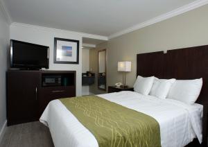 Hi View Inn & Suites - Guest Reviews