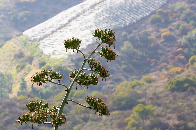 Hidden History Hollywood Sign Tour - Tour Highlights