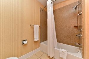HOLIDAY INN EXPRESS & SUITES ELK GROVE CENTRAL - HWY 99, an IHG Hotel - Accessibility and Pet Policy