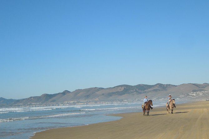 Horseback Ride on the Beach & Alcatraz Tour in San Francisco - Tour Provider Information