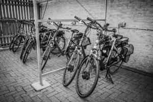 Hotel Boschrand - Guest Experiences and Activities