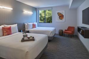 Hotel Mariposa - Booking Information and Discounts