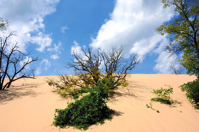 Indiana Dunes National Park With Audio Tour Guide - How to Book and Use the Tour