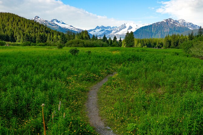 Juneau Highlights and Mendenhall Glacier Tour - Tips for an Enjoyable Experience