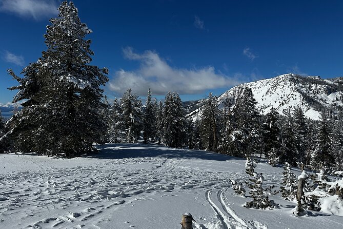 Lake Tahoe Snowshoe Rental Packages - Meeting Point and Return Location