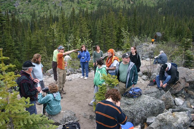 Laughton Glacier Hike and White Pass Rail Adventure - Health and Safety Recommendations