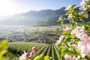 Lindenhof Pure Luxury & Spa DolceVita Resort - Guest Satisfaction Ratings
