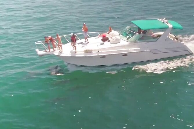 Long Beach: 2 Hour Yacht Sea Life Trip (1 Ticket Covers 1-6 Ppl) - Pricing Structure and Policies