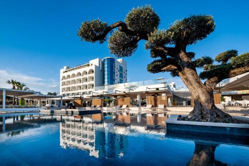 Mec Paestum Hotel - Room Categories