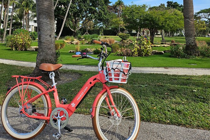 Miami Brightline Train to Palm Beach & 4 Hour Ebike Rental - Accessibility Information