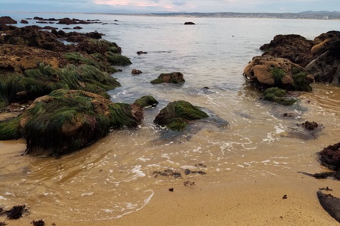 Monterey & Carmel Sightseeing Private Tour (10-Hour Minimum) - Booking Information and Flexibility