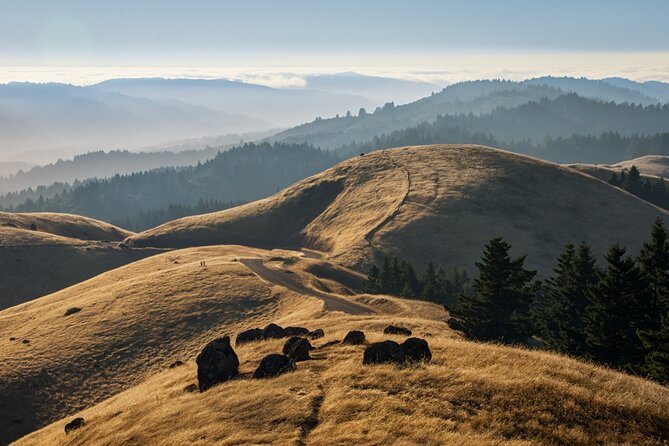 Muir Woods Self-Guided Driving and Walking Audio Tour - How to Use the Tour App