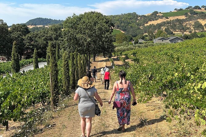 Napa Mountainside Small Group Winery Tour - The Sum Up