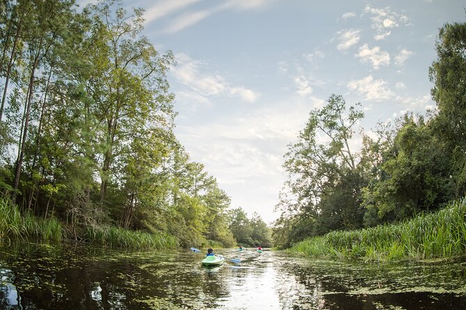 New Orleans Bayou Adventure: Kayak Rental - The Sum Up