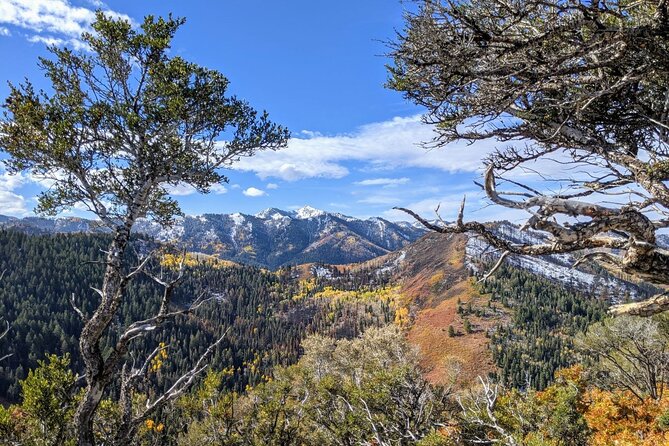 Park City Hiking Activity With Local Guide - Tips for a Successful Hiking Experience