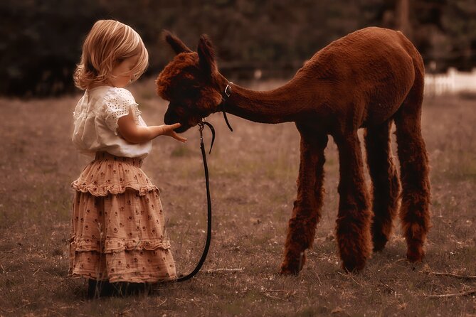 Photoshoot With Alpacas and Farm Experience Near Seattle - Booking and Cancellation Policies