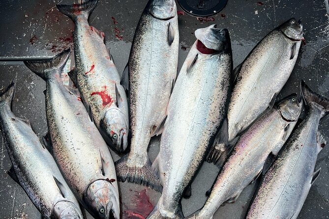 Premium Salmon Fishing - 6 Hours for Cruise Ship Guests - Preparing for the Trip