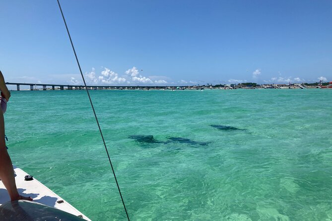 Private Catamaran: Snorkel, Swim and Dolphin Watching - Participation Details