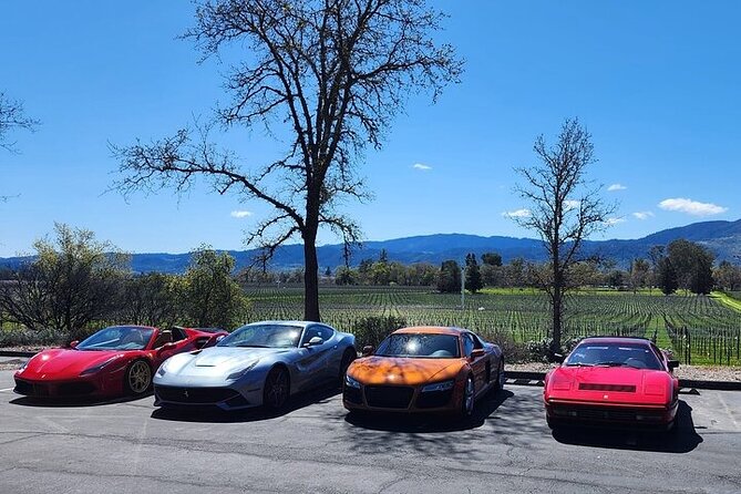Private Champagne and Wine Tour to Sonoma and Napa - Exploring Sonoma and Napa Wineries
