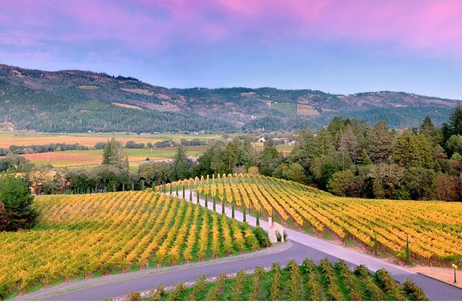 Private Enchanted Napa and Sonoma Wine Tour in SUV From SFO - Booking Process and Cancellation Policy
