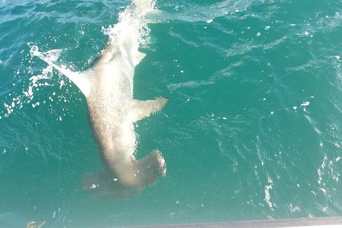 Private Fishing Charter Florida Keys - Meeting and Pickup Information