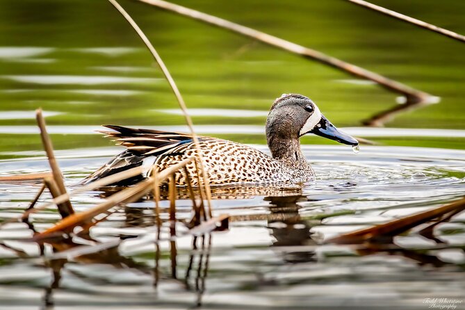 Private Full Day Photography Workshop of Fairbanks - Convenient Pickup and Transportation