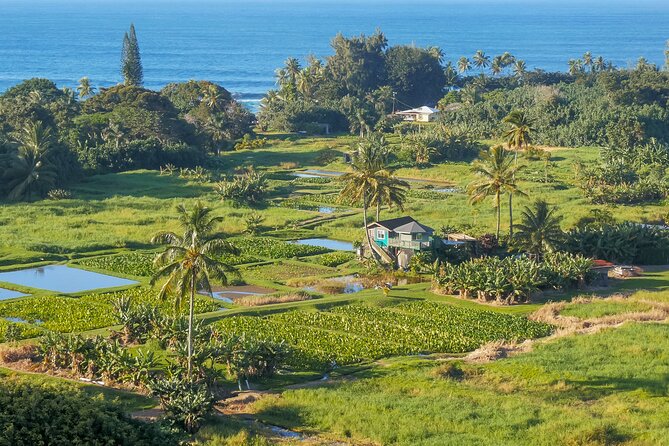 Private Halfway to Hana + Waterfall & Garden of Eden Tour - Stunning Scenic Stops