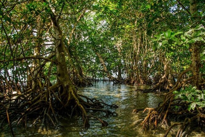 Private Key West National Wildlife Refuge Eco Trip - Private Tour Benefits