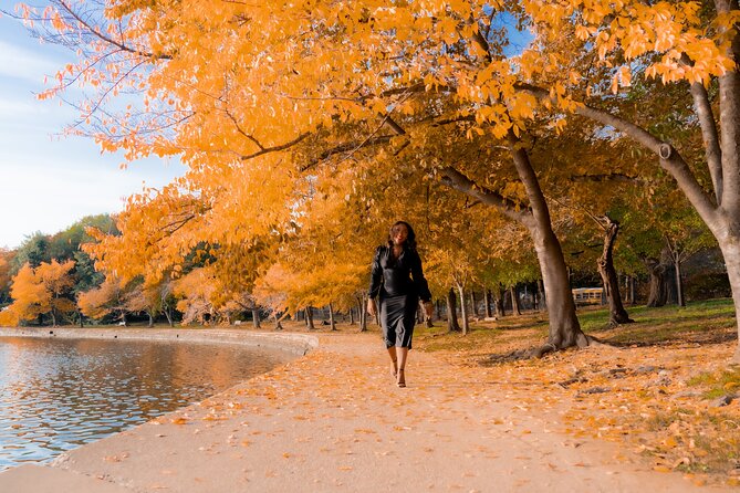 Private Professional Vacation Photoshoot in Petaluma - Pricing and Booking Information
