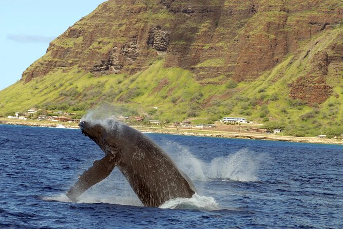 Private Sunset Snorkel and Dinner Cruise in Oahu Charter - Booking and Cancellation Policy