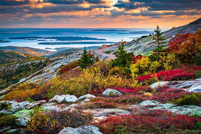 Private Tour Acadia National Park, Fjord - What to Expect During the Tour