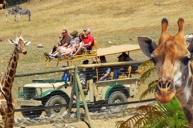 Private Tour of Sonoma Wild Safari Animal Park and Sonoma Redwoods - Important Information and Policies