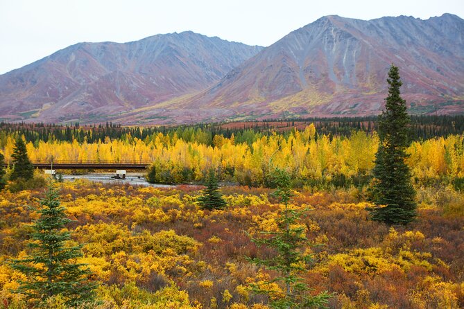 Private Transportation Between Fairbanks and Denali National Park - Additional Services and Considerations