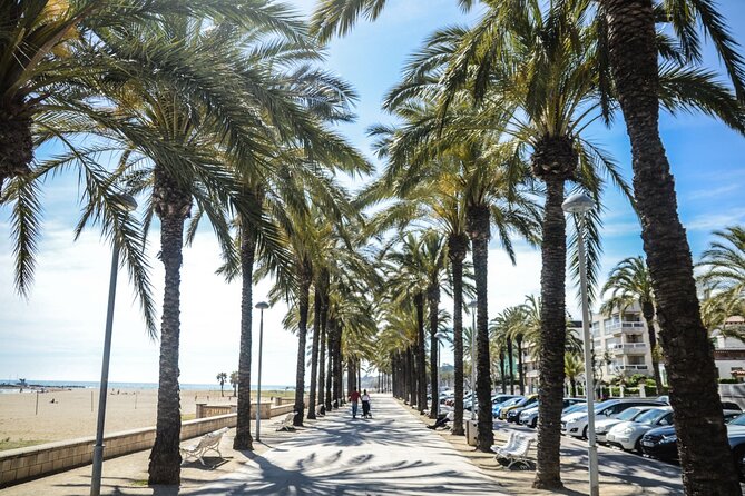 Private Walking Tour at Sunny Isles - Booking Details