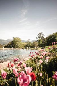 Santre Dolomythic Home - Activities and Services