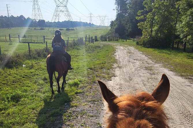 Shaded Trails Horse Ride - Arrival and Entry Assistance