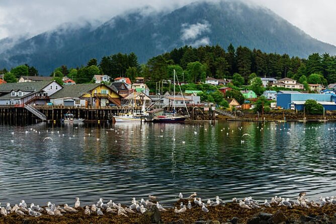 Sitka Shore Excursion: Sitka Harbor & Islands Guided Kayaking - Cancellation Policy and Pricing