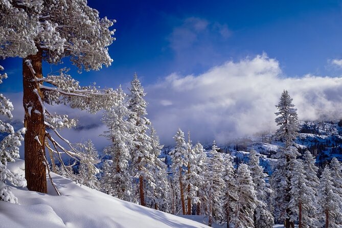 Snowshoe Tour in the Lake Tahoe Mountains - Pricing and Reservation Options