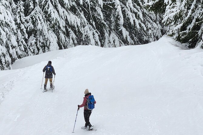 Snowshoeing at Crystal Mountain by Mount Rainier - Refueling With Lunch and Snacks