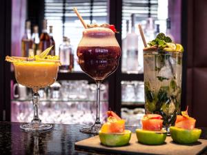 Sofitel Strasbourg Grande Ile - Recreational Facilities