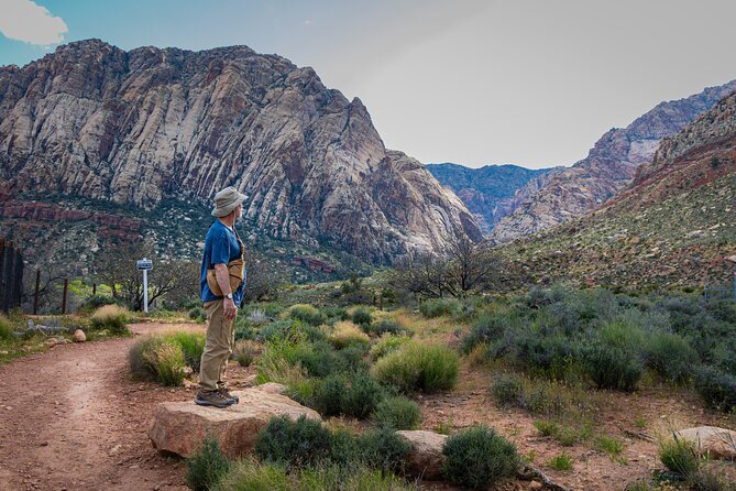 Spring Mountain Ranch Hike With Happy Hour Drinks - Health and Accessibility