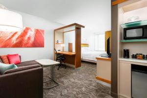 SpringHill Suites by Marriott San Diego Mission Valley - Recreational Facilities