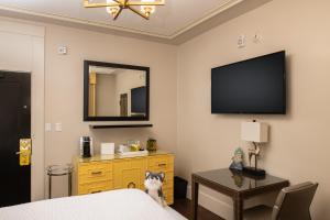 Staypineapple, An Elegant Hotel, Union Square - Pet Policy