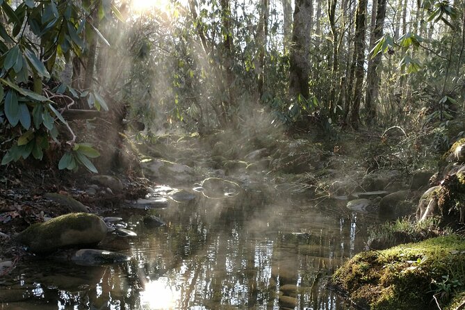Stroll Back in Time Smokies History Streams and Forest Hike - Uncovering Hidden Gems Along the Trail