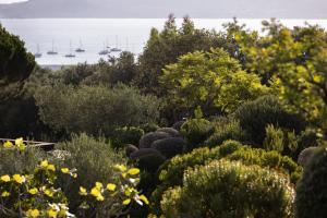 The Calvi Villa - Recreational and Wellness Amenities