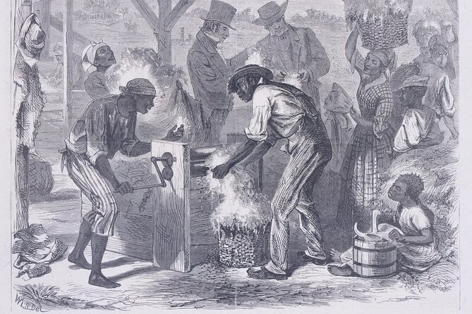 The History of Slavery in Louisiana Tour - Accessibility and Booking Information