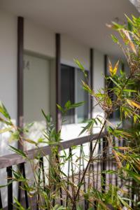 The Pearl Hotel - Nearby Attractions and Activities